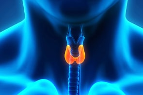 Endocrine Surgery